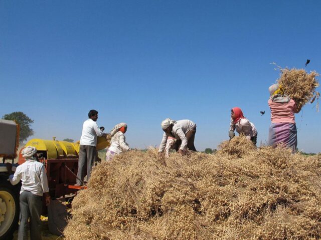 Courtesy: File Photo