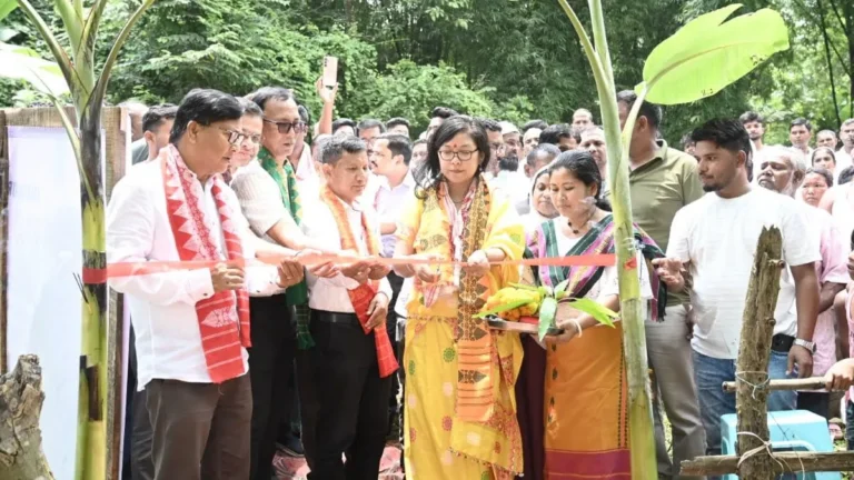 ntpc-flags-off2
