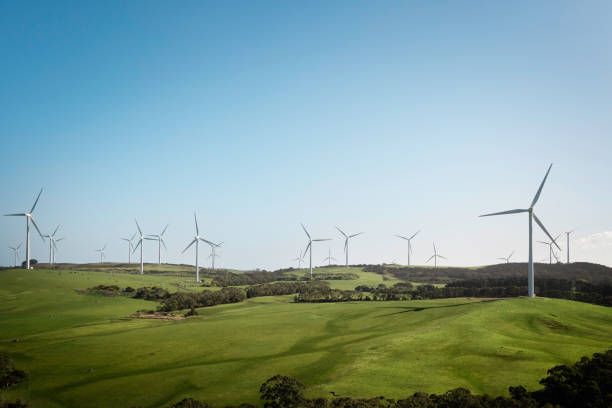 wind-mills-farm-creating-renewable-energy