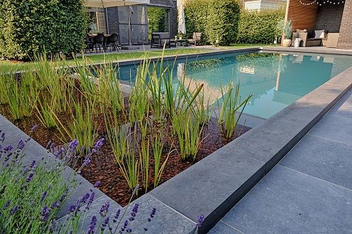 EcoScapes Landscaping Collaborates with Fluidra India to Source Premium Bio Swimming Pool Systems and Materials