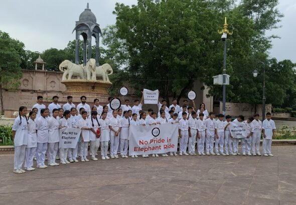 World Animal Protection Appeals to Chief Minister of Rajasthan to End Elephant Rides on Occasion of World Elephant Day